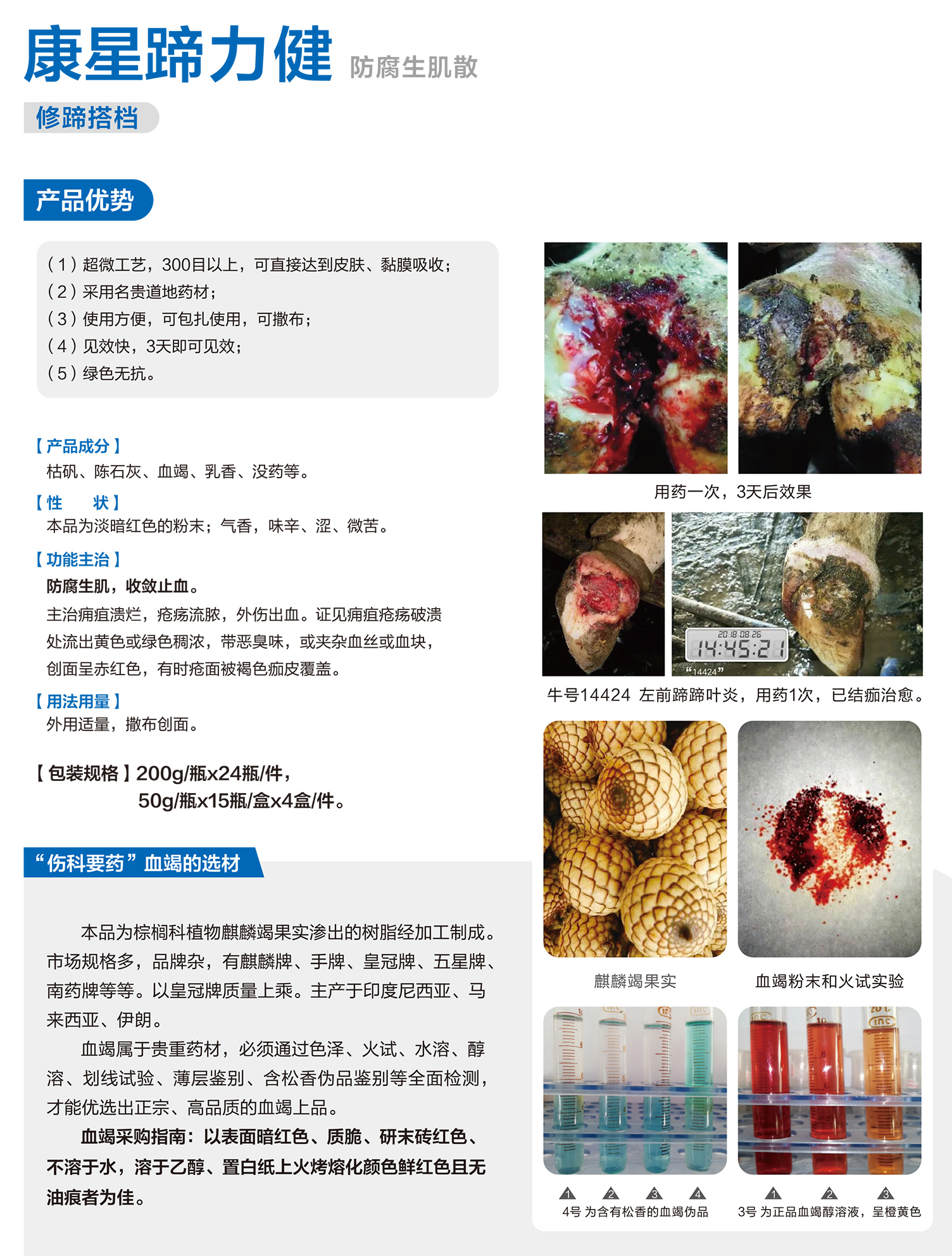 蹄力健介紹.jpg